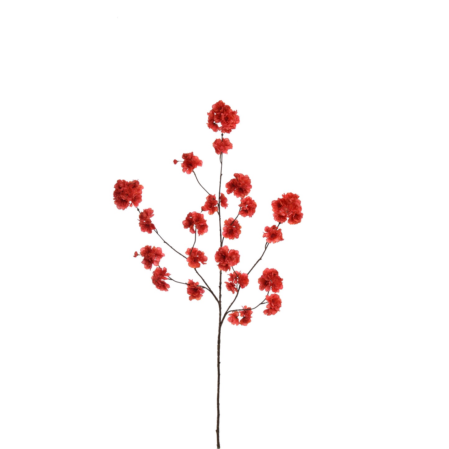 Branche Kanzan Blossom h130