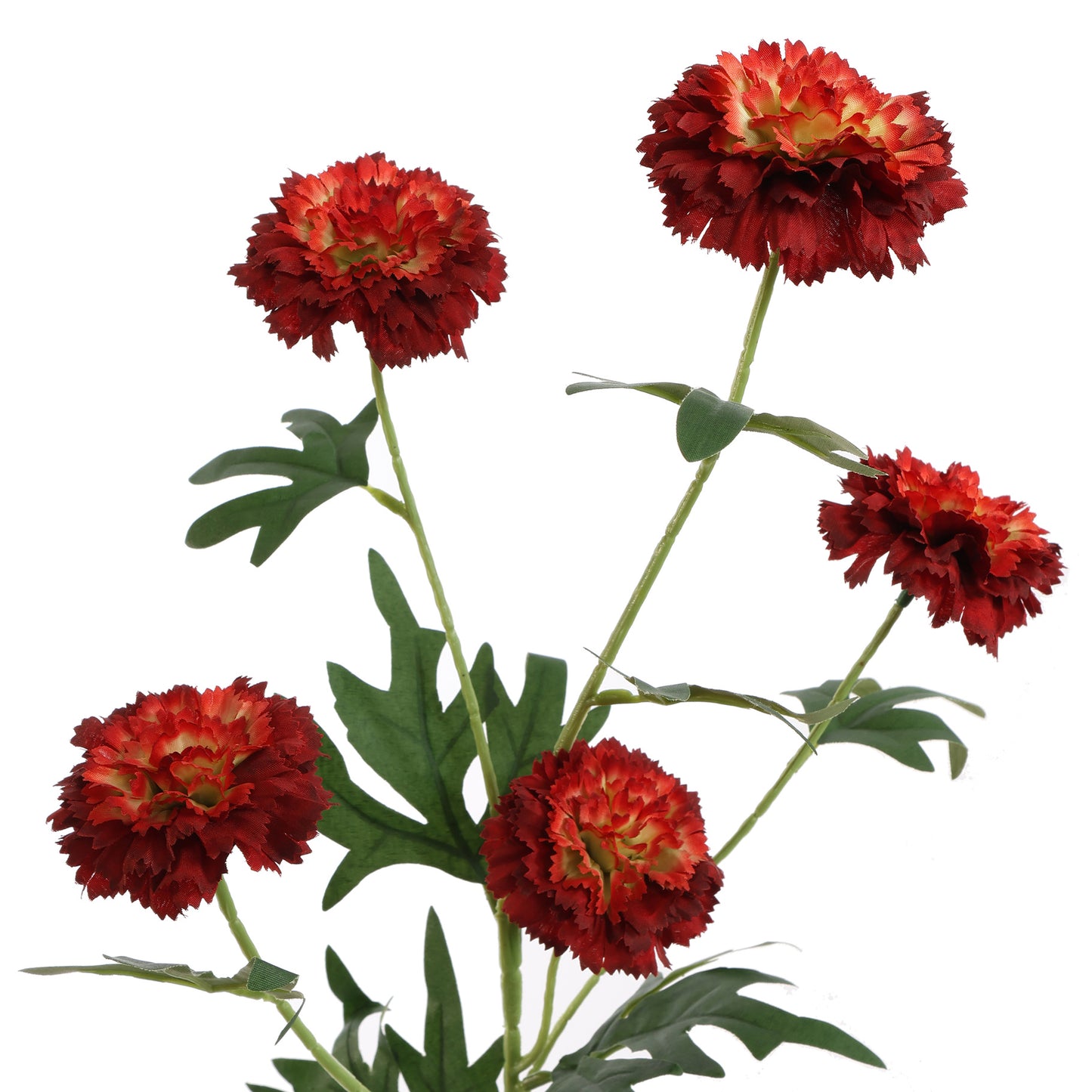 Branche Marigold h70
