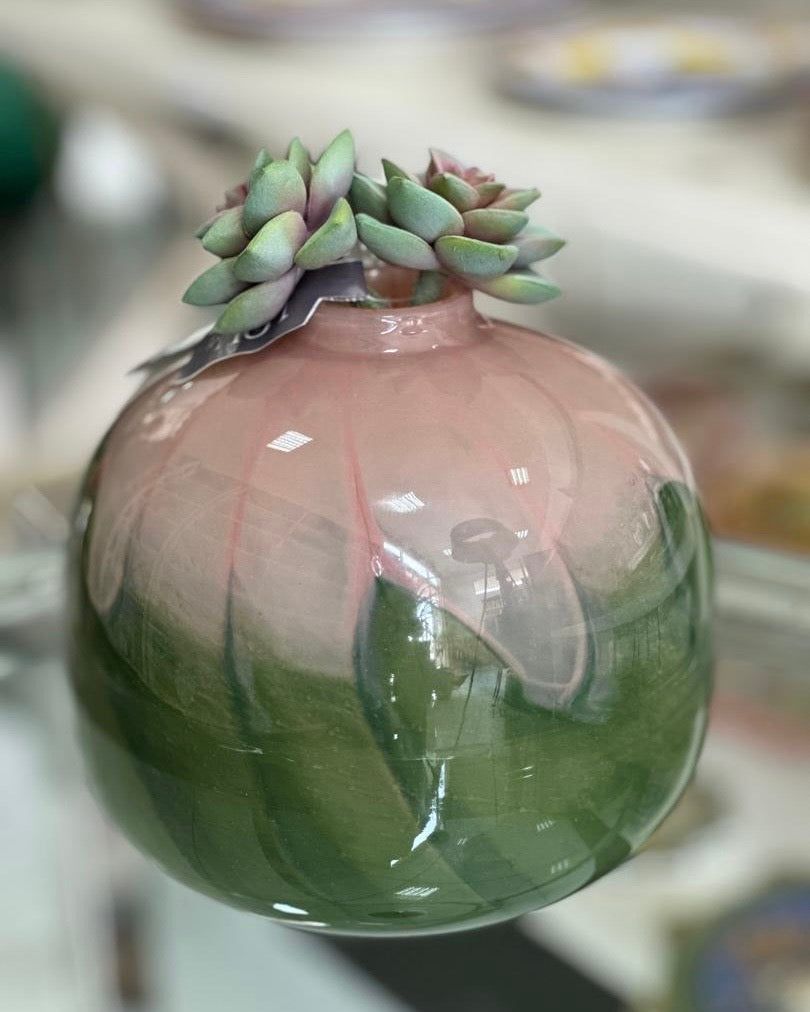 1x Vase & plante
