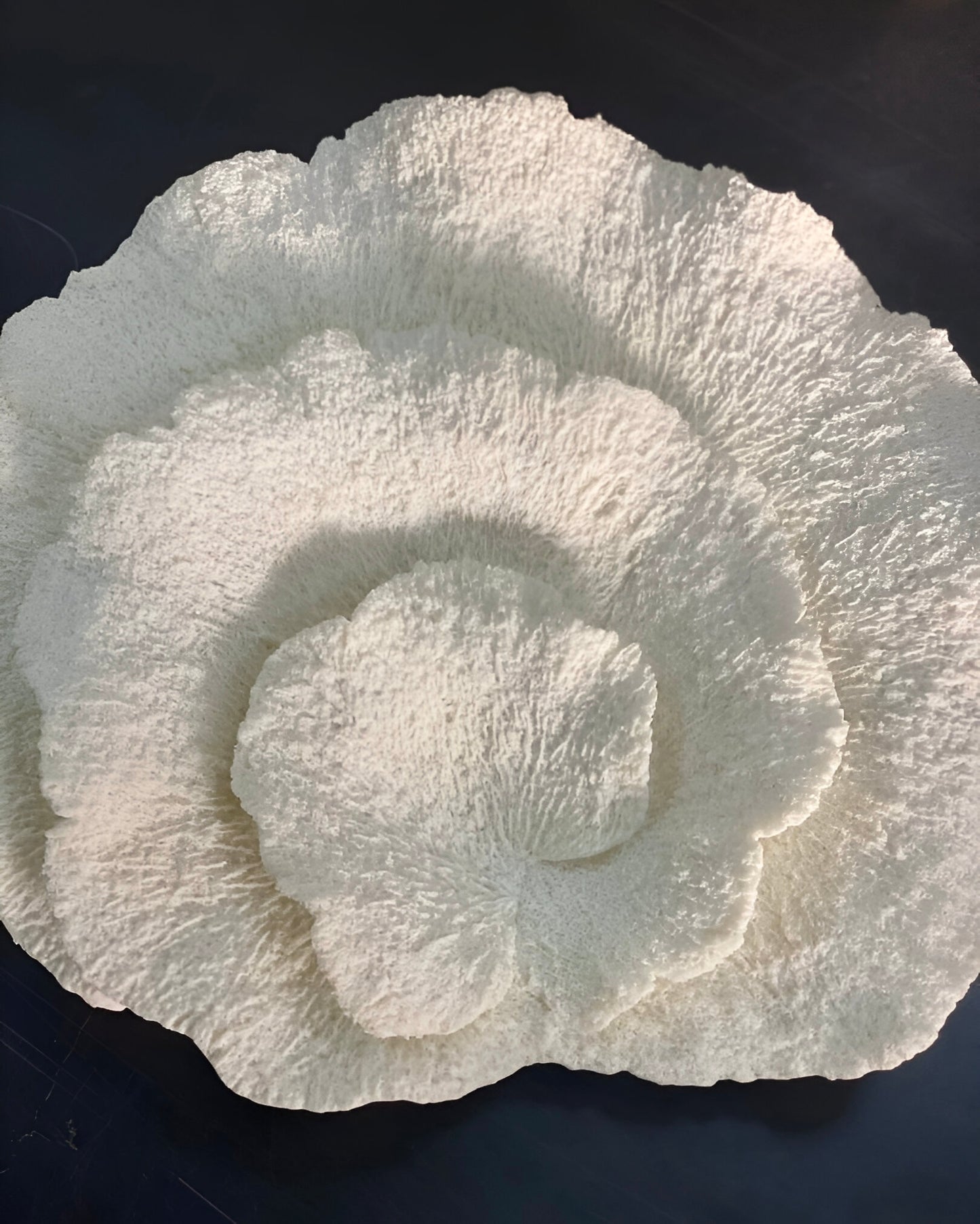 Applique murale Fleur