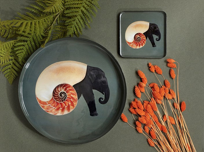 1x Vide-poche Shellephant @Gangzaï Design