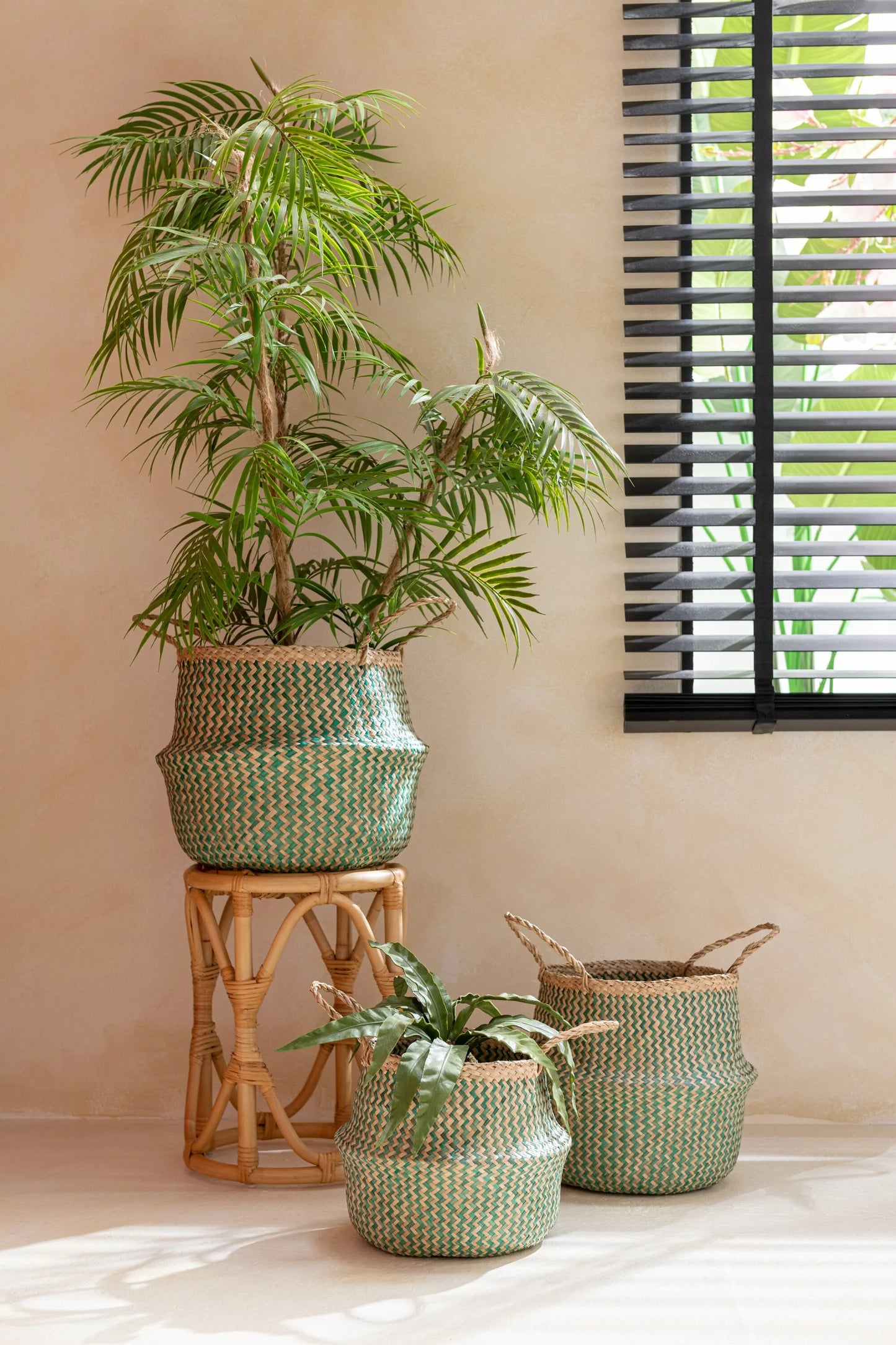 Palmier en pot h114