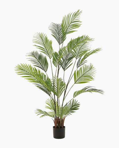 Palmier en pot h180
