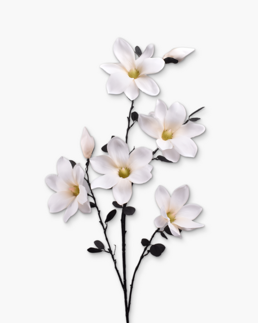 Branche Magnolia crème h117