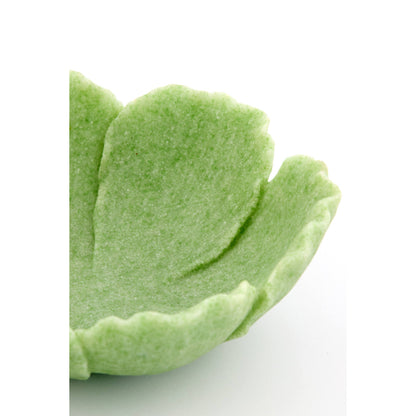 Vide-poche Fresia GM