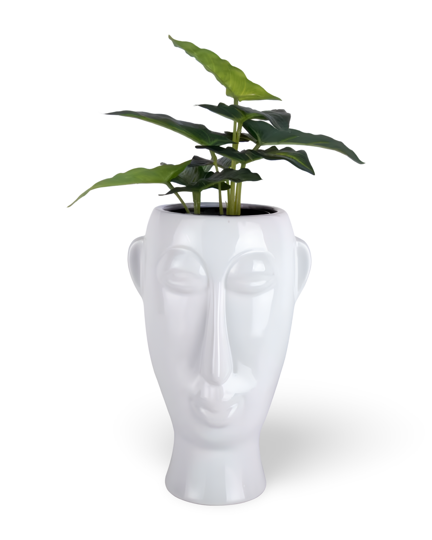 Vase Mask double face