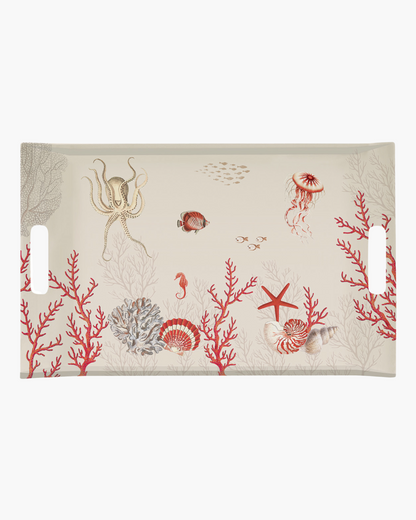 Plateau GM Coral Reef