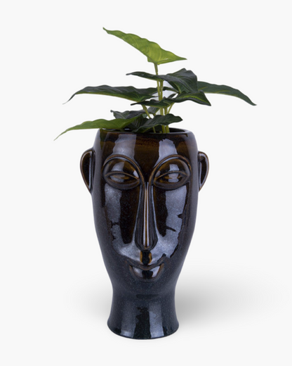 Vase Mask double face