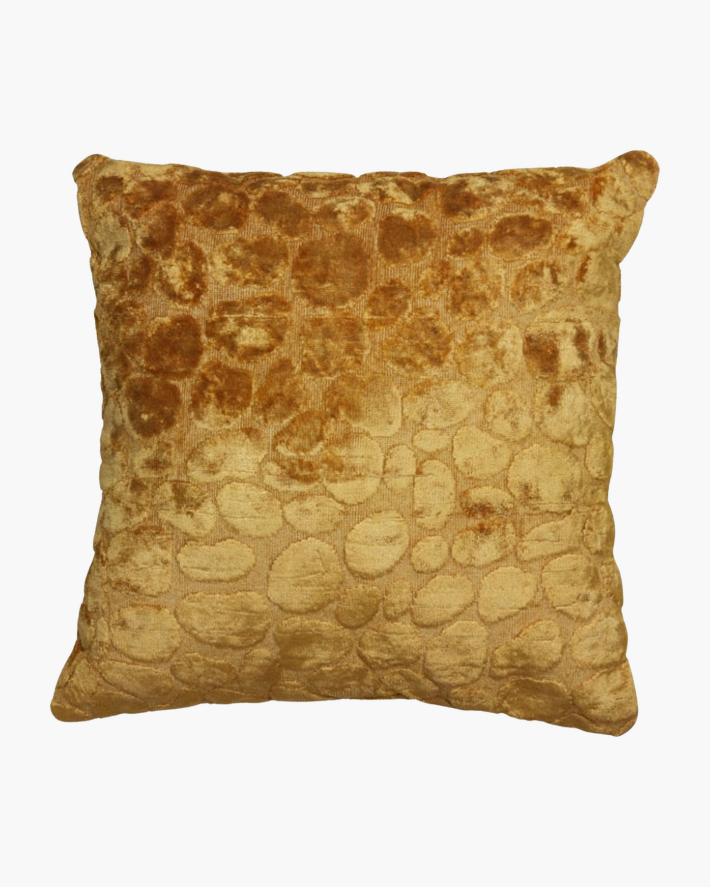 Coussin Florian en velours