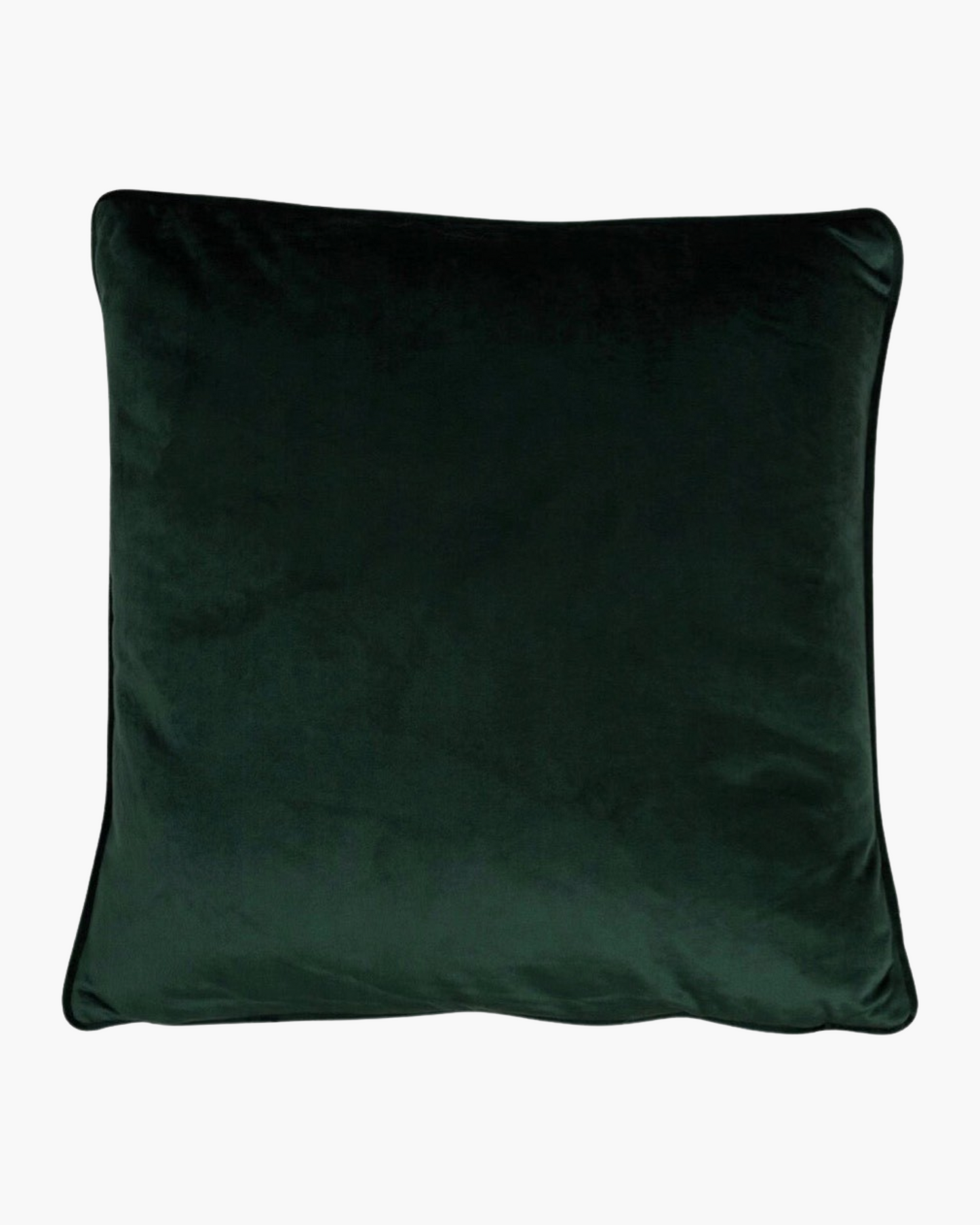 Coussin velours Nuance de vert 2