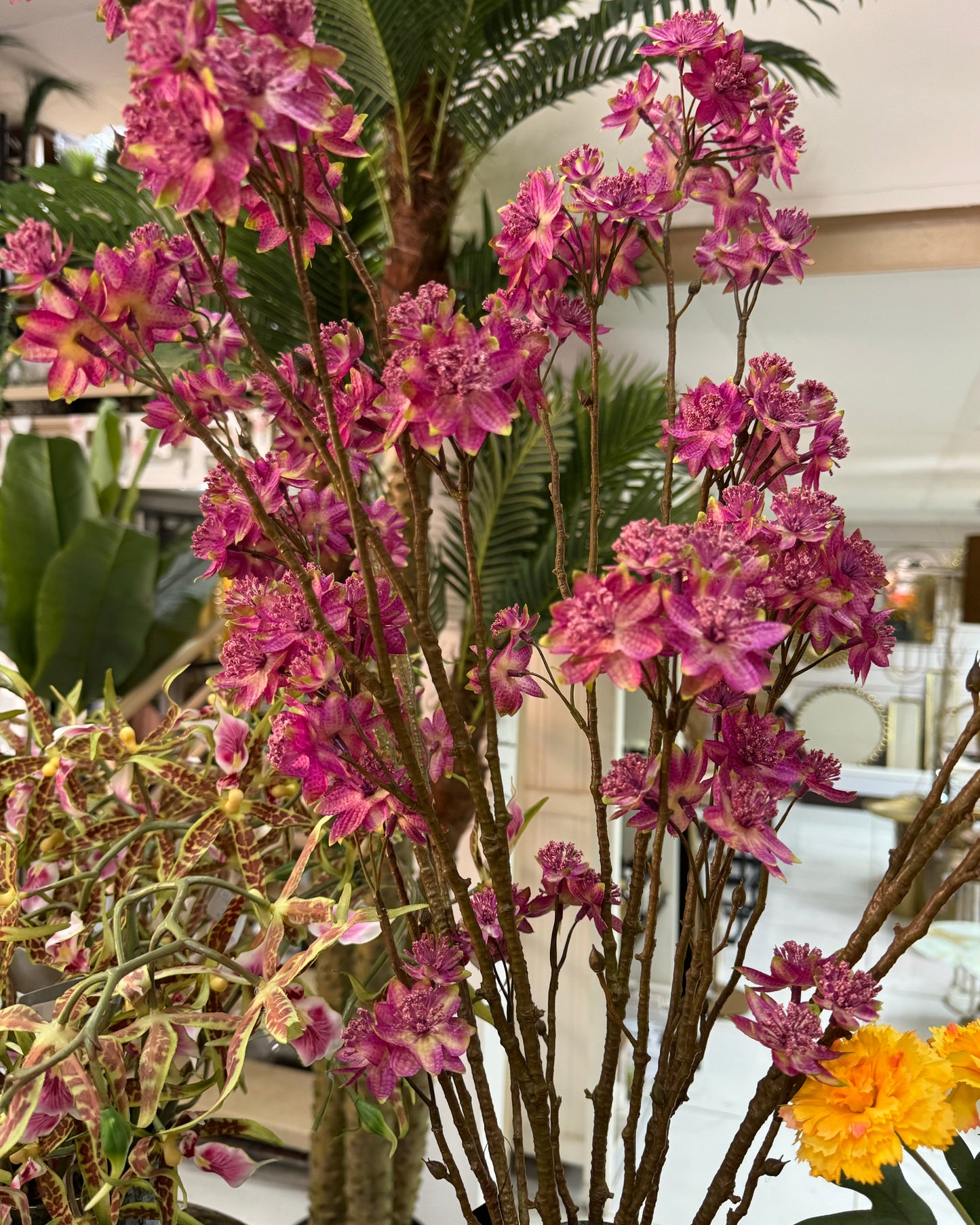 Branche Astrantia h110