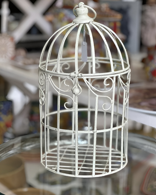 Cage Delicate PM